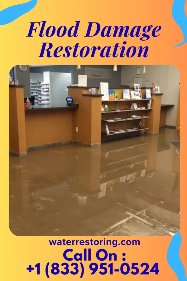 Flood Damage Restoration in Holyoke, MA