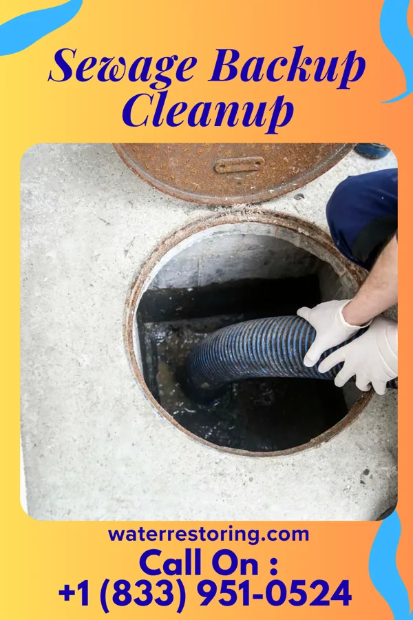 Sewage Backup Cleanup in Holyoke, MA